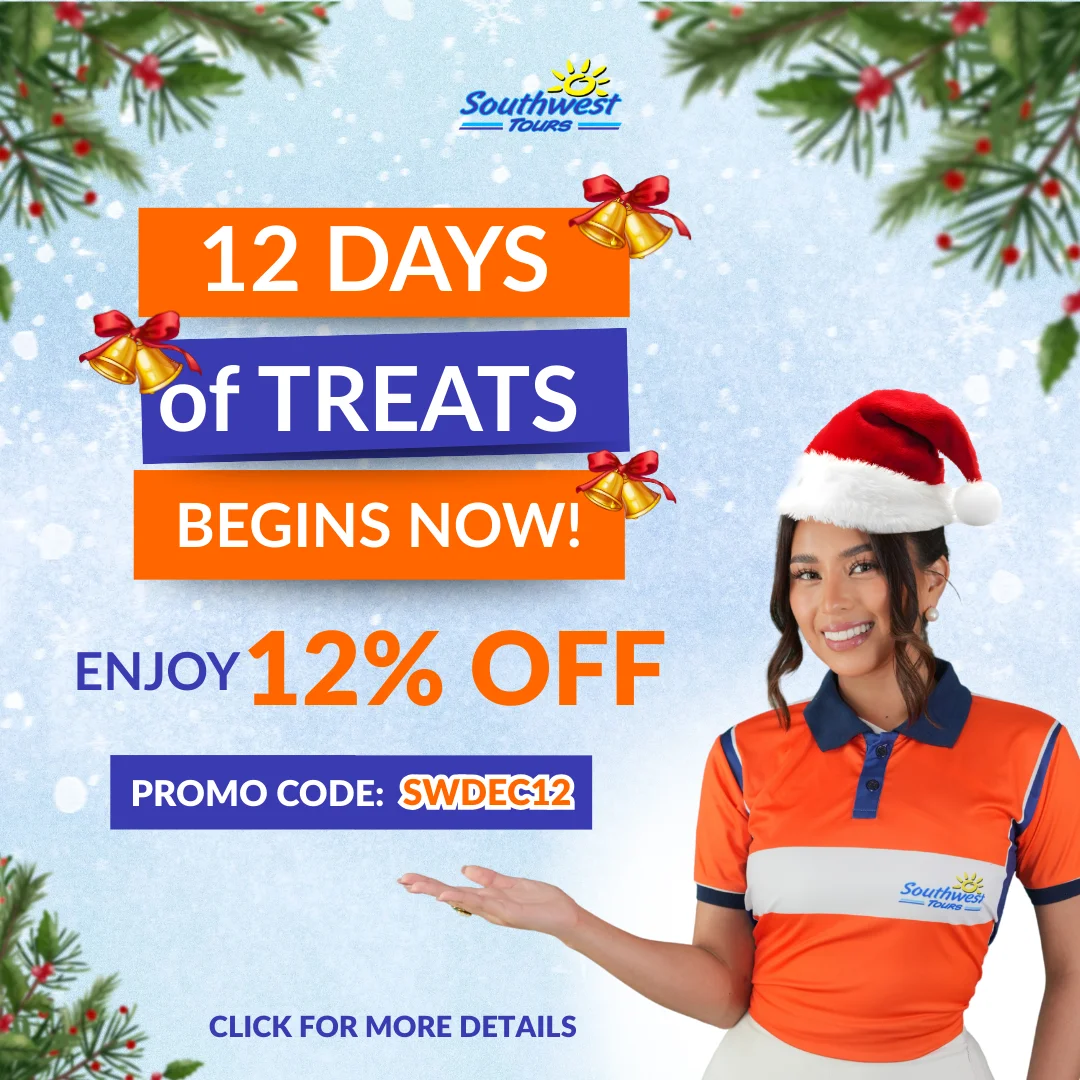 Mini Banner 2 Description